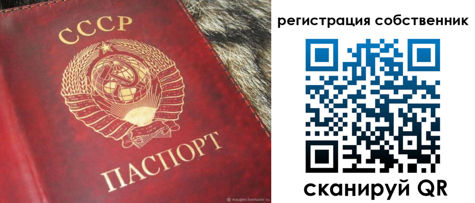 временная регистрация надежно в Георгиевске